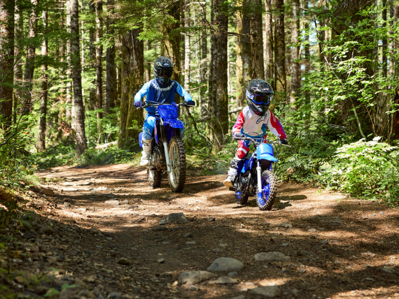 YAMAHA - PW50